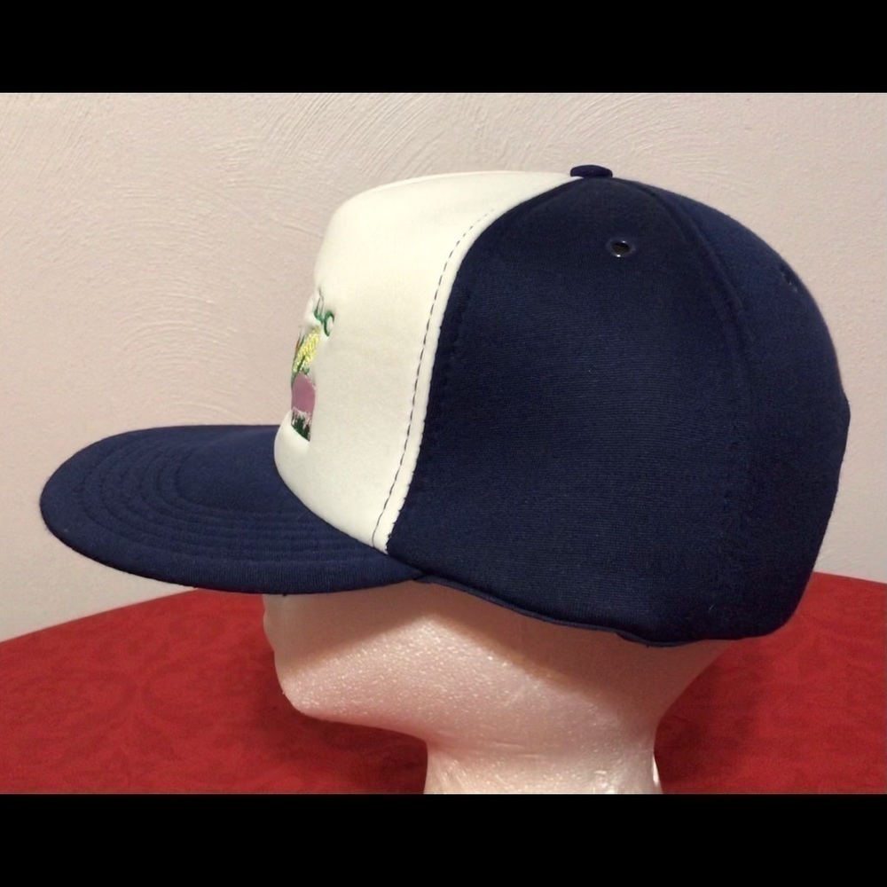 Vintage Double E Farms Snapback Trucker Hat Cap View 4
